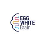 EggWhiteBrain